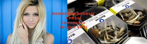 меф Зерноград